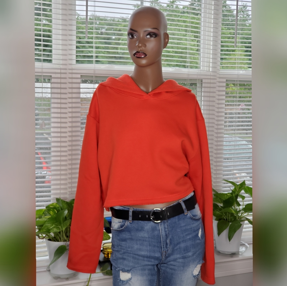 NWOT: Zara Crop Hoodie